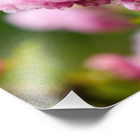 Pink Cherry Blossom Buds Fotodruck (Ecke)