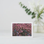 Pink Cherry Blossom (grenzbar) Visitenkarte (Stehend Vorderseite)
