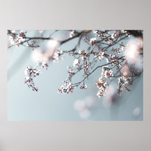 PINK CHERRY BLOSSOM IN NAH-OBEN-FOTOGRAFIE POSTER