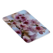 Pink Cherry Blossom Magnet (Rechte Seite)