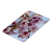 Pink Cherry Blossom Magnet (Linke Seite)