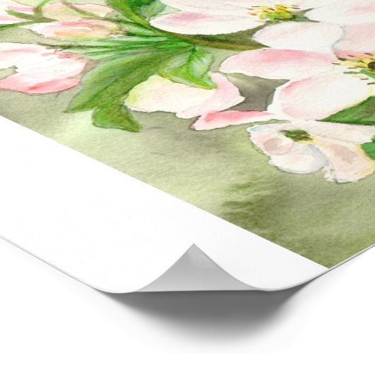 Pink Cherry Blossom Poster (Ecke)