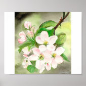 Pink Cherry Blossom Poster (Vorne)