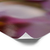 Pink Cherry Blossom Poster (Ecke)