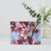 Pink Cherry Blossom Postkarte (Stehend Vorderseite)
