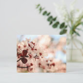 Pink Cherry Blossom Postkarte (Stehend Vorderseite)