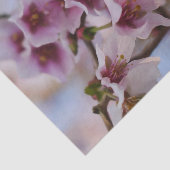 Pink Cherry Blossom Tissue Paper Seidenpapier (Ausschnitt)