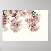 Pink Cherry Blossom Tree Blume Foto Poster (Vorne)