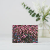 Pink Cherry Blossom Visitenkarte (Stehend Vorderseite)