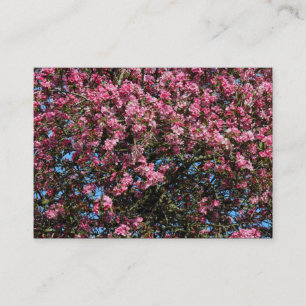 Pink Cherry Blossom Visitenkarte
