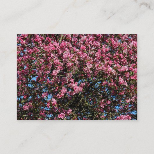 Pink Cherry Blossom Visitenkarte (Vorderseite)