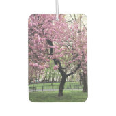 Pink Cherry Tree Blossom Springtime New York City Autolufterfrischer (Vorderseite)