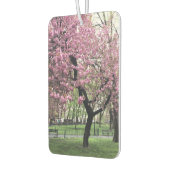 Pink Cherry Tree Blossom Springtime New York City Autolufterfrischer (Links)