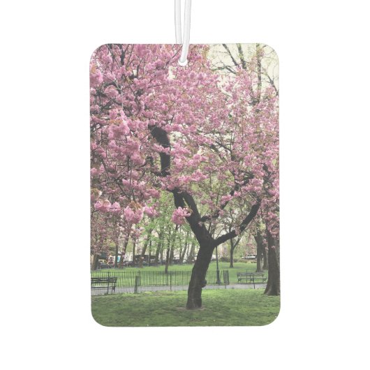 Pink Cherry Tree Blossom Springtime New York City Autolufterfrischer (Rückseite)