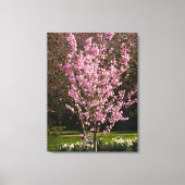 Pink Cherry Tree Canvas Print Leinwanddruck (Vorderseite)