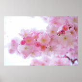 Pink Cherry Tree Poster (Vorne)