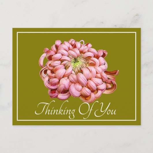 Pink Chrysanthemum Green Bckground Denken Sie an S Postkarte (Vorderseite)
