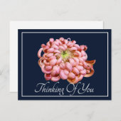 Pink Chrysanthemum Navy Hintergrund Denken Sie an Postkarte (Vorne/Hinten)