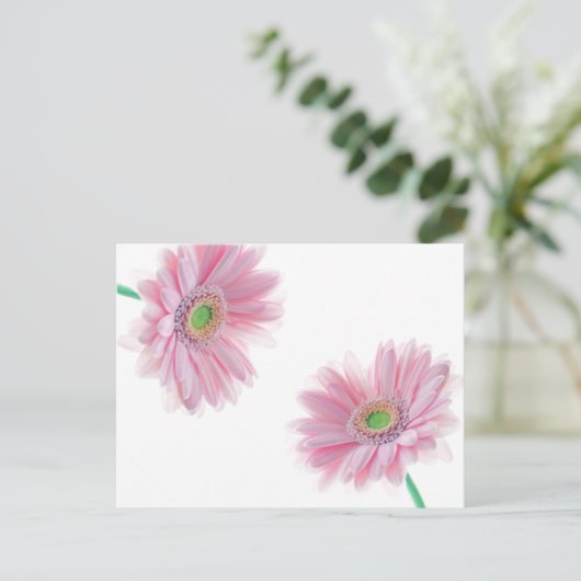 Pink CHRYSANTHEMUM Postkarte (Stehend Vorderseite)