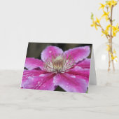 Pink Clematis Blume Notecard Karte (Gelbe Blume)