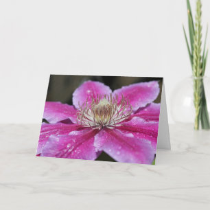 Pink Clematis Blume Notecard Karte