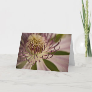 Pink Clematis ・ Grußkarte Karte