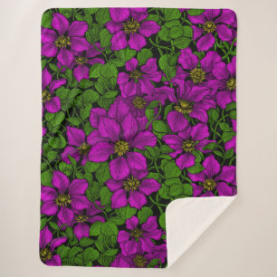 Pink Clematis Sherpadecke