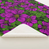 Pink Clematis Sherpadecke (3/4)