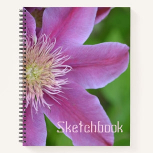 Pink Clematis Sketch Notizblock