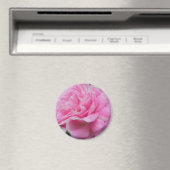 Pink Climbing Rose Magnet (In Situ (Geschirrspüler))