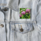 Pink Clover Wildblume - Trifolium pratense Button (Beispiel)