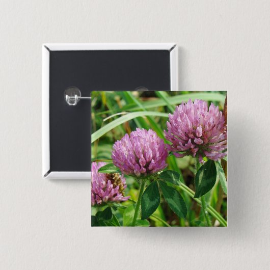 Pink Clover Wildblume - Trifolium pratense Button (Vorne & Hinten)