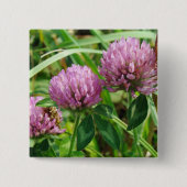 Pink Clover Wildblume - Trifolium pratense Button (Vorderseite)