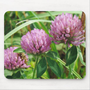 Pink Clover Wildblume - Trifolium pratense Mousepad