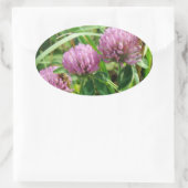 Pink Clover Wildblume - Trifolium pratense Ovaler Aufkleber (Tasche)