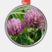 Pink Clover Wildblume - Trifolium pratense Silbernes Ornament (Vorne)
