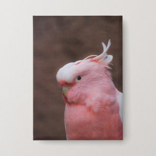 Pink Cockatoo Button