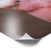 Pink Cockatoo Fotodruck (Ecke)