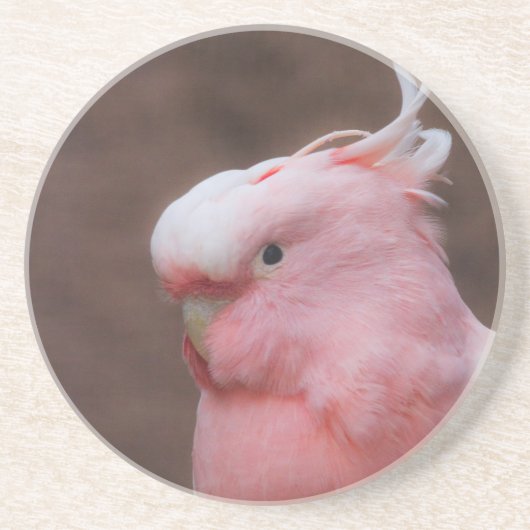 Pink Cockatoo Getränkeuntersetzer (Vorne)