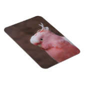 Pink Cockatoo Magnet (Rechte Seite)