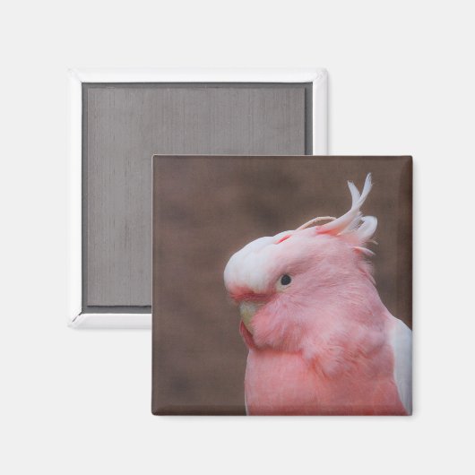 Pink Cockatoo Magnet (Vorderseite/Rückseite)