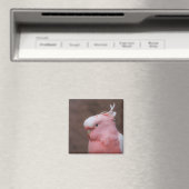 Pink Cockatoo Magnet (In Situ (Geschirrspüler))