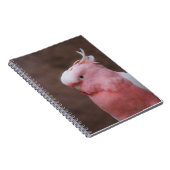 Pink Cockatoo Notizblock (Rechte Seite)