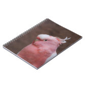 Pink Cockatoo Notizblock (Linke Seite)