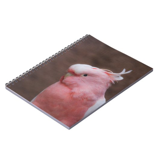 Pink Cockatoo Notizblock (Linke Seite)