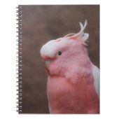 Pink Cockatoo Notizblock (Vorderseite)