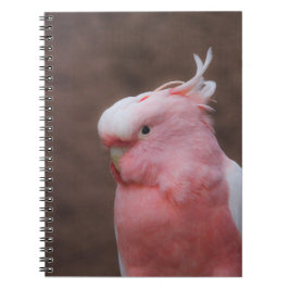 Pink Cockatoo Notizblock