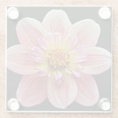 Pink Collarette Dahlia auf der schwarzen Flora Glasuntersetzer (Rückseite)