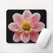 Pink Collarette Dahlia auf der schwarzen Flora Mousepad (Mit Mouse)