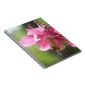 Pink Columbine Blume Nature Notebook Notizblock (Rechte Seite)